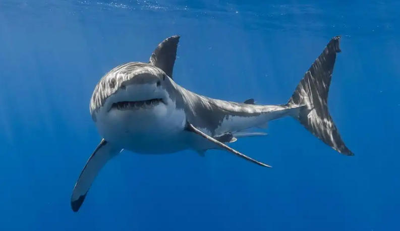 张家港市鑫州焊割机械有限公司轮播图4